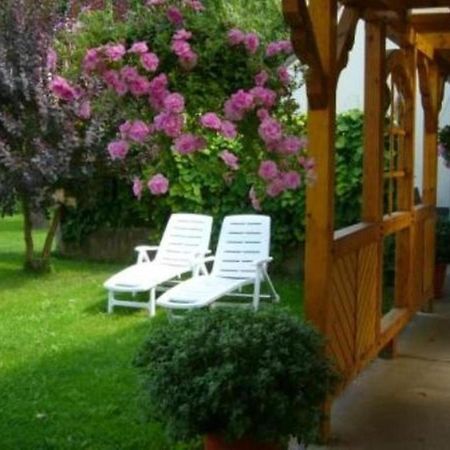 Appartamento Haus Feldmuehle Bad Frankenhausen/Kyffhäuser Esterno foto